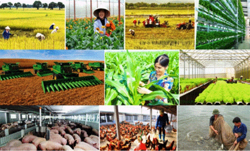 Agriculture continues to be solid pillar of national economy